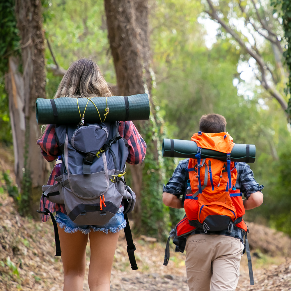 Camino de Santiago