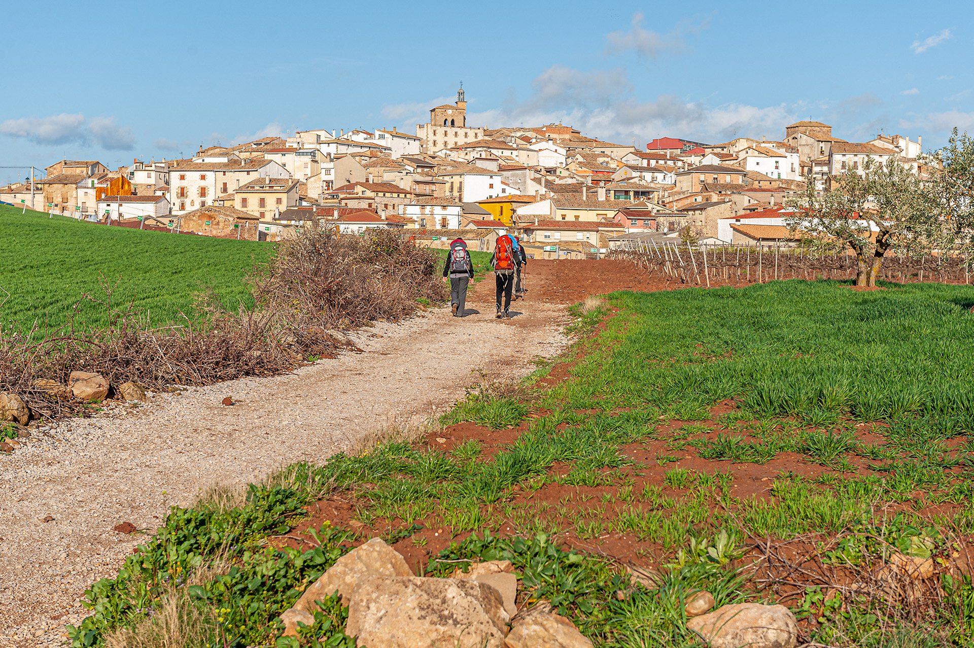 espñaol-en-el-camino